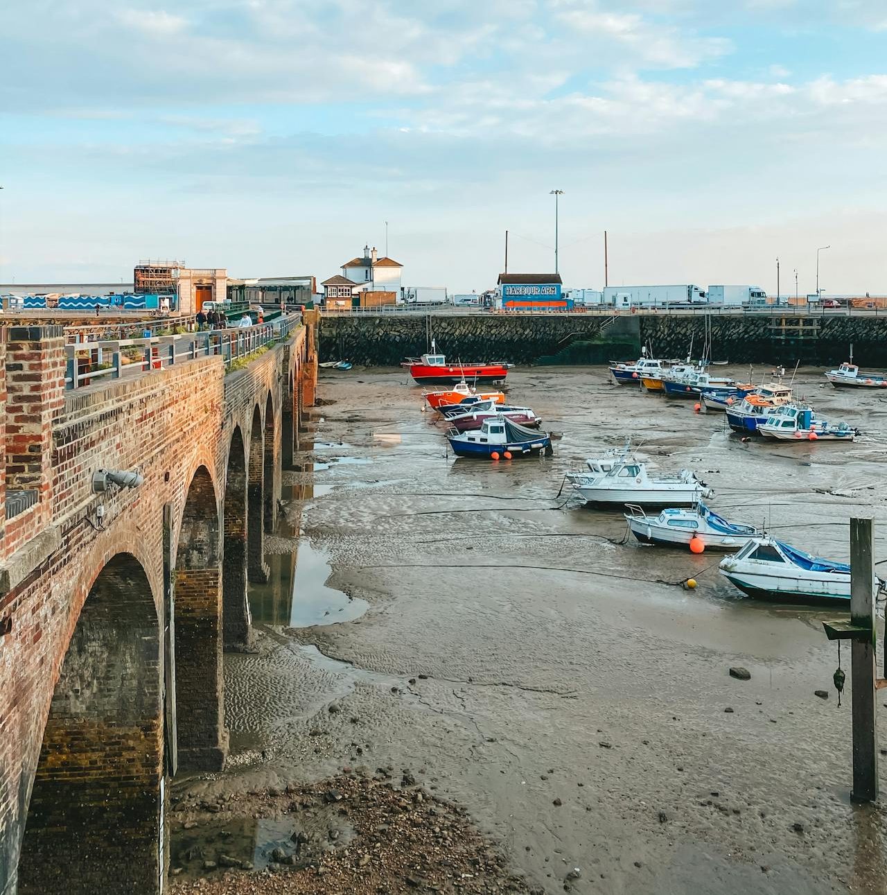 pexels sonya livshits 9828247 e1708953822292.jpg